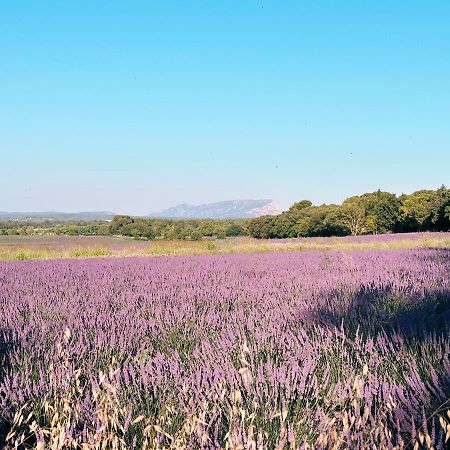 Maison Francoise Bed & Breakfast Aix-en-Provence Ngoại thất bức ảnh