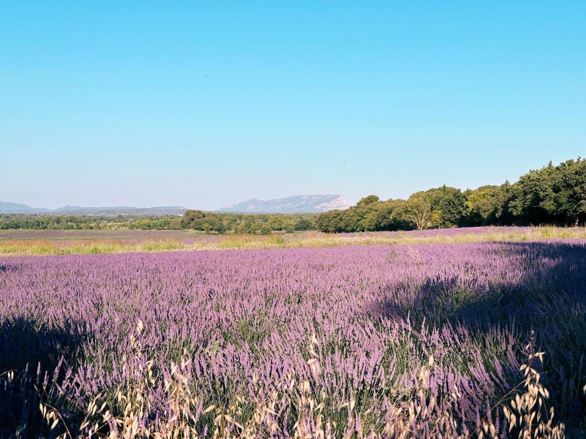 Maison Francoise Bed & Breakfast Aix-en-Provence Ngoại thất bức ảnh