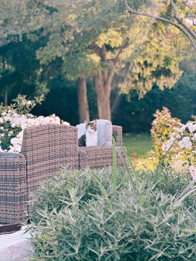 Maison Francoise Bed & Breakfast Aix-en-Provence Ngoại thất bức ảnh